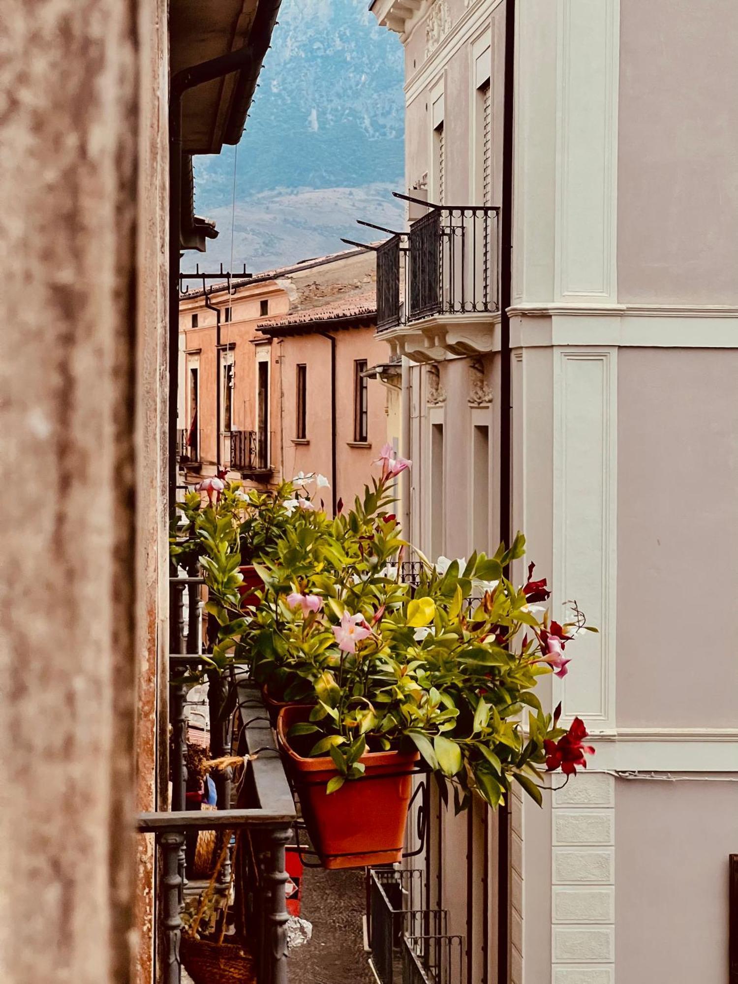 Regina D'Aragona Casa Vacanze スルモナ エクステリア 写真